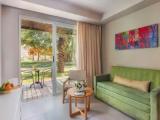 Superior room with garden view