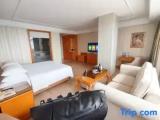 Deluxe Double room with view