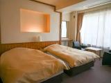 Superior Double room with mountain view