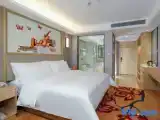 Deluxe Double room with view