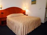Standard Single room with balcony and with park view