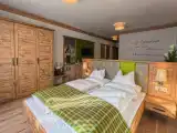 Deluxe Double room with balcony and with mountain view