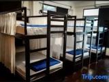 Bed in Dorm (male dorm)
