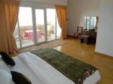 Standard Double room with balcony and with sea view