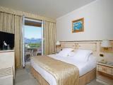 Classic room with garden view