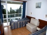 Standard Double room with park view