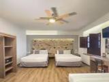 Standard Triple Family room