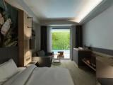 Standard Double room with pool view