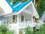Single Bungalow with garden view