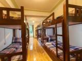 Bed in Dorm