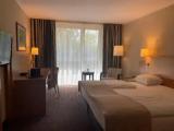 Superior Double room with garden view