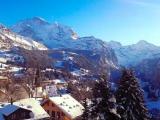 Standard Single room with balcony and with mountain view