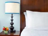 Premium Double room with garden view