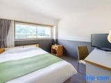 Standard Double room with garden view