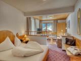 Standard Double room with balcony and with mountain view