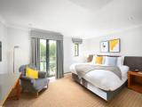Premium Double room with garden view