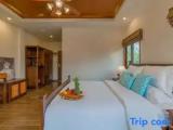 Standard room with pool view
