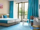 1 Bedroom Standard Apartment