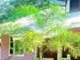 2 Bedrooms Deluxe Bungalow