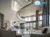 1 Bedroom Single Suite