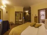 Standard Junior Suite