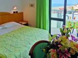 Standard Double room with balcony and with sea view