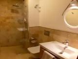 1 Bedroom Deluxe Double room