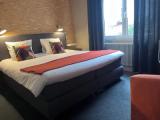 Comfort Double room with garden view