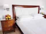 Deluxe Double room with balcony and with mountain view
