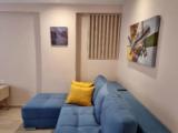 Standard Family Basement room