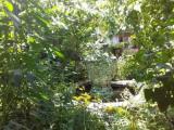 Studio with garden view