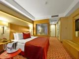 Superior Double room with city view