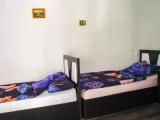Bed in Dorm
