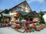 Superior Triple Cottage with mountain view