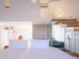 Luxury Apartment