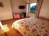 Deluxe Double room with garden view