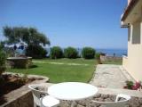 Triple Basement Apartment with garden view