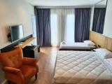 Standard Double room with balcony and with mountain view