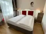 Comfort Suite