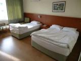 Standard Triple room with city view
