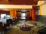 Single Junior Suite