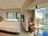 Standard Family room with garden view