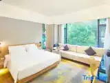 Standard Double room with garden view