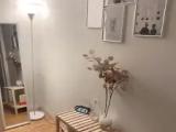 Bed in Dorm (male dorm)