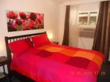 Single Suite