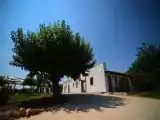 Run of House room