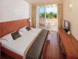 Suite with balcony and with park view