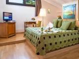 Attic Single room