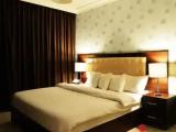 1 Bedroom Deluxe Apartment with city view