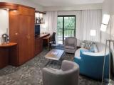 1 Bedroom Suite with courtyard view